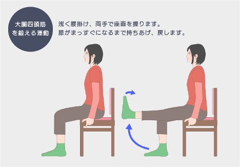 太ももの前側の筋肉(大腿四頭筋)を鍛える運動